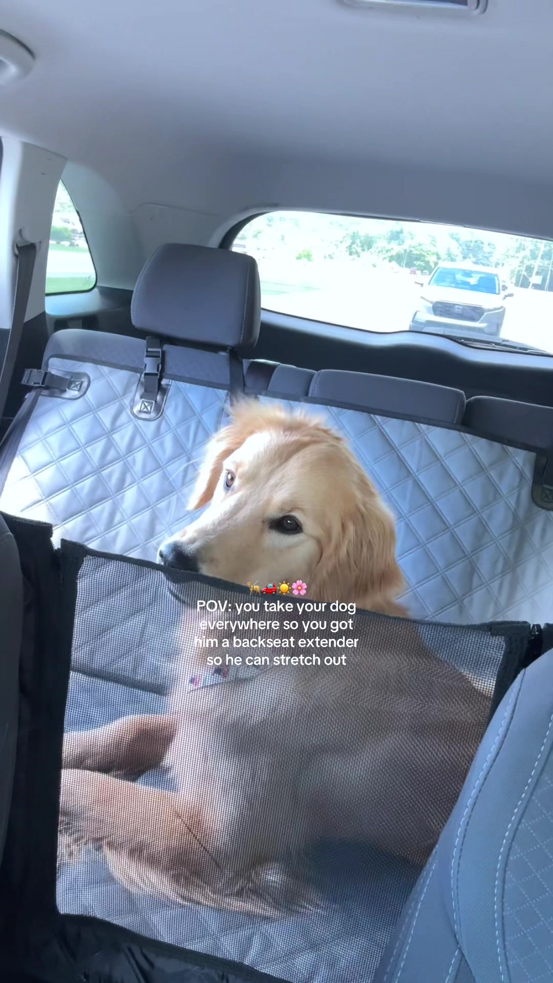 @Josi B🦮