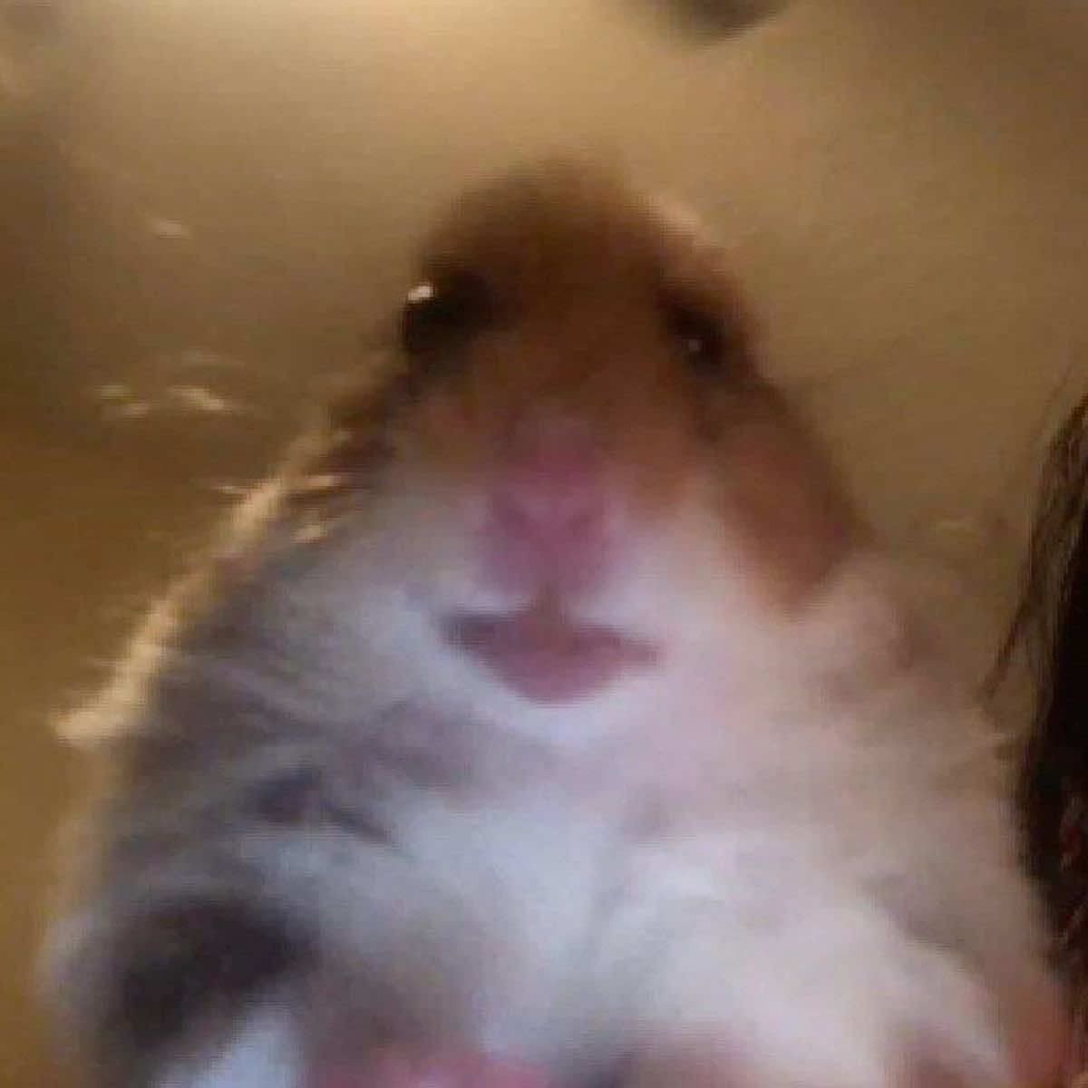 @Katie<3