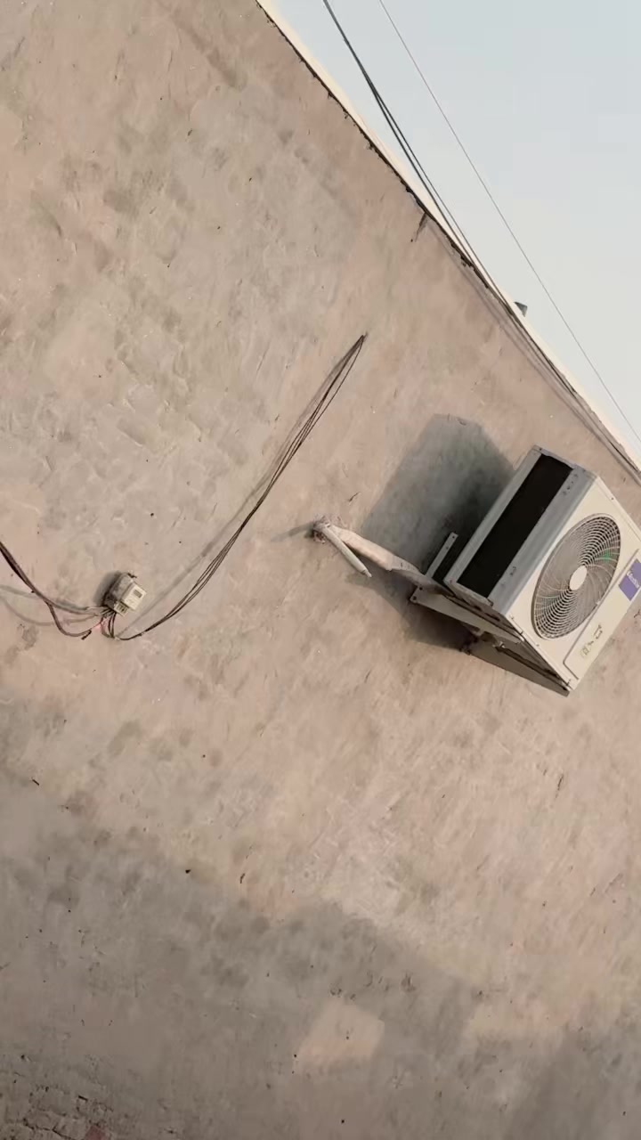 @Rai Amir kalera🔥