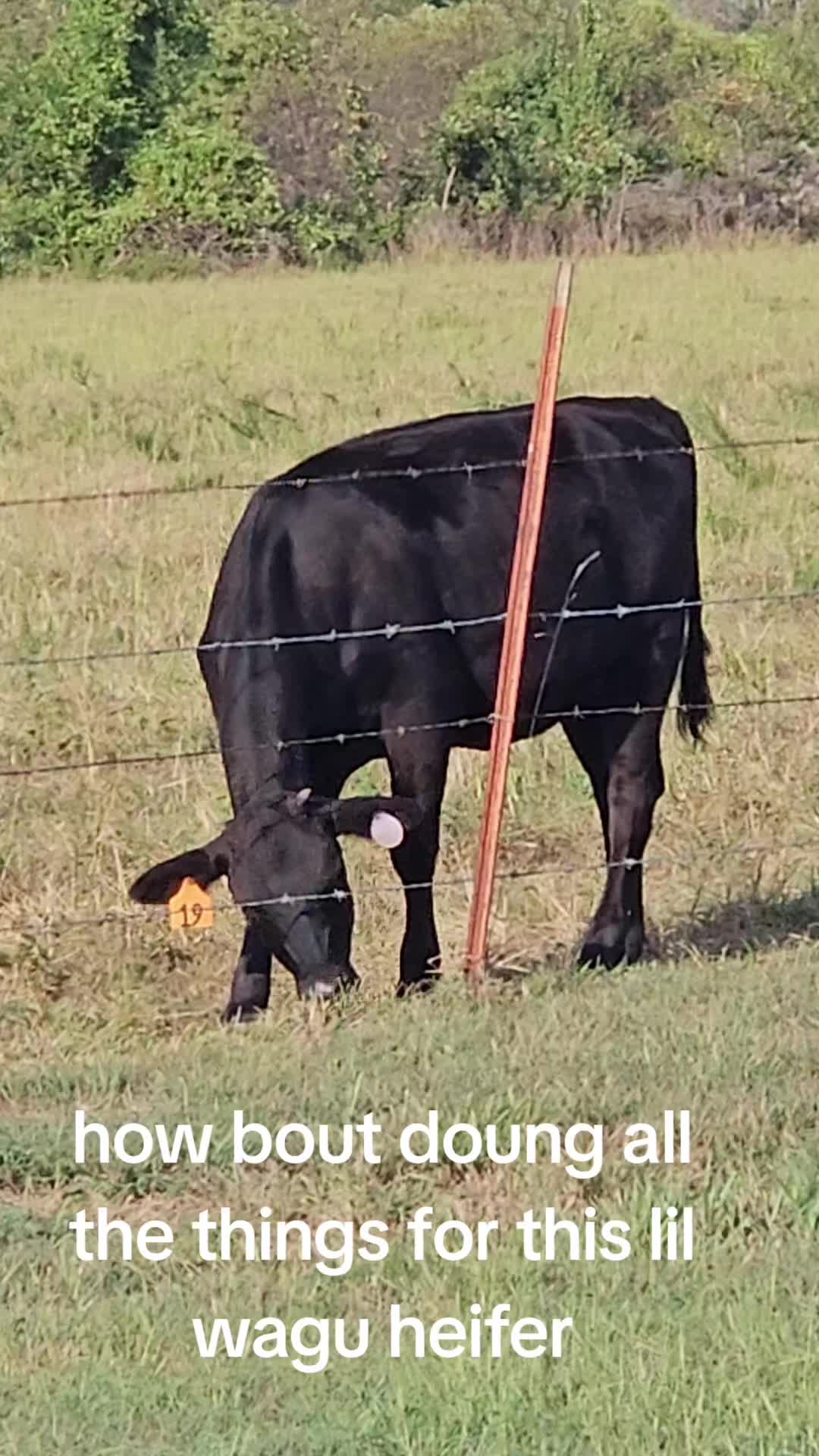 @Davy ❌️Eagon