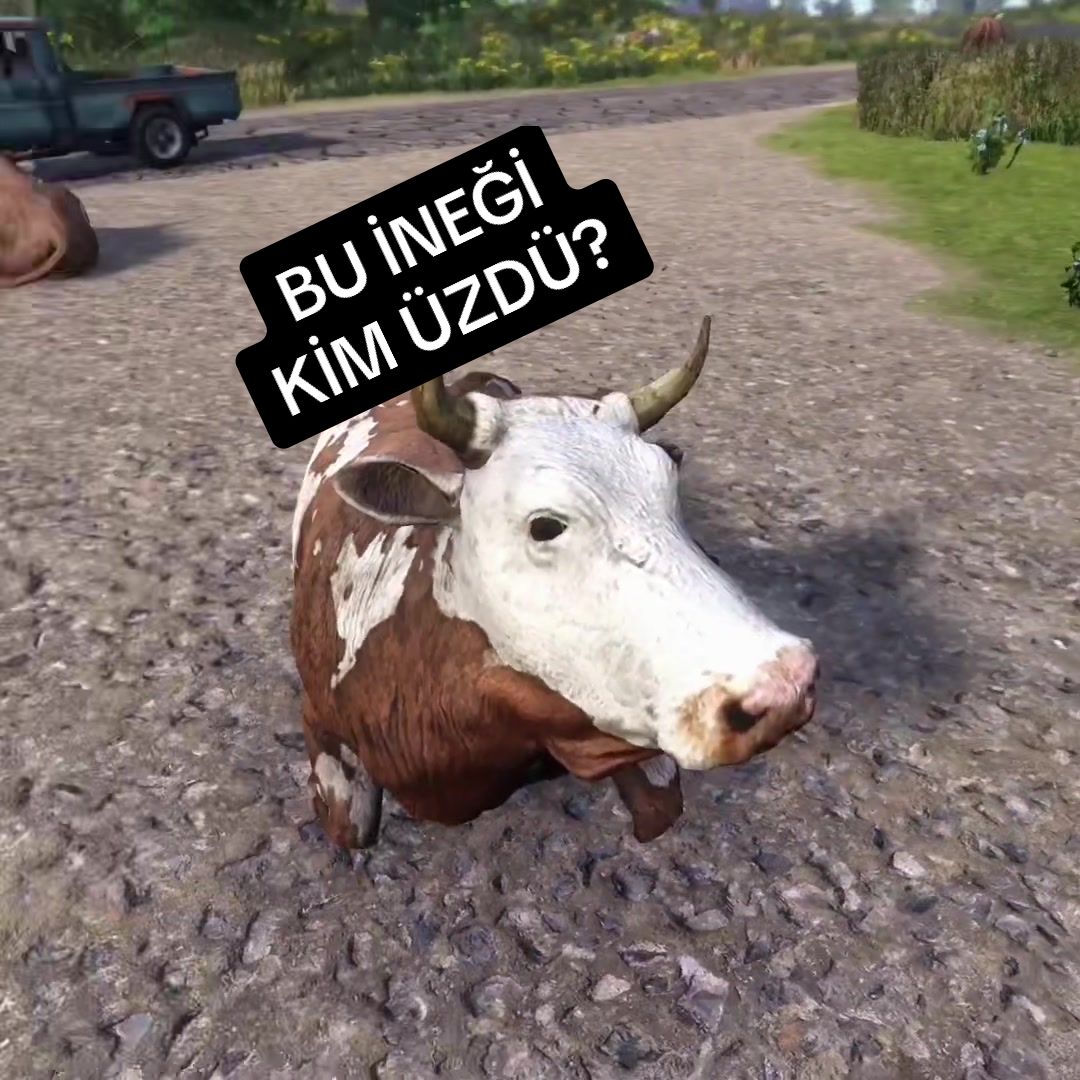 @Ben Karmelo