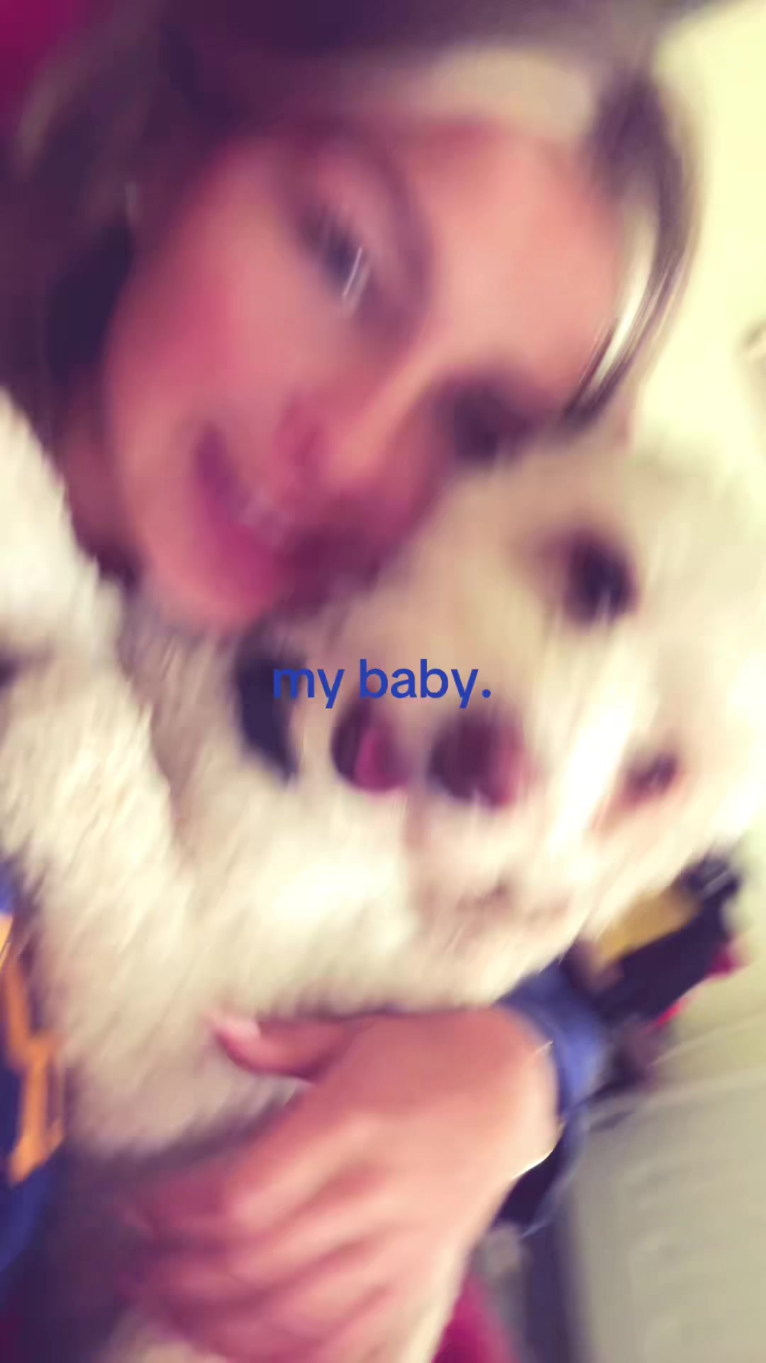 @hi