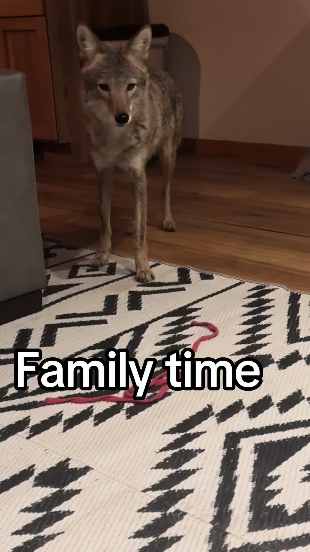 @ittybittyfarm1