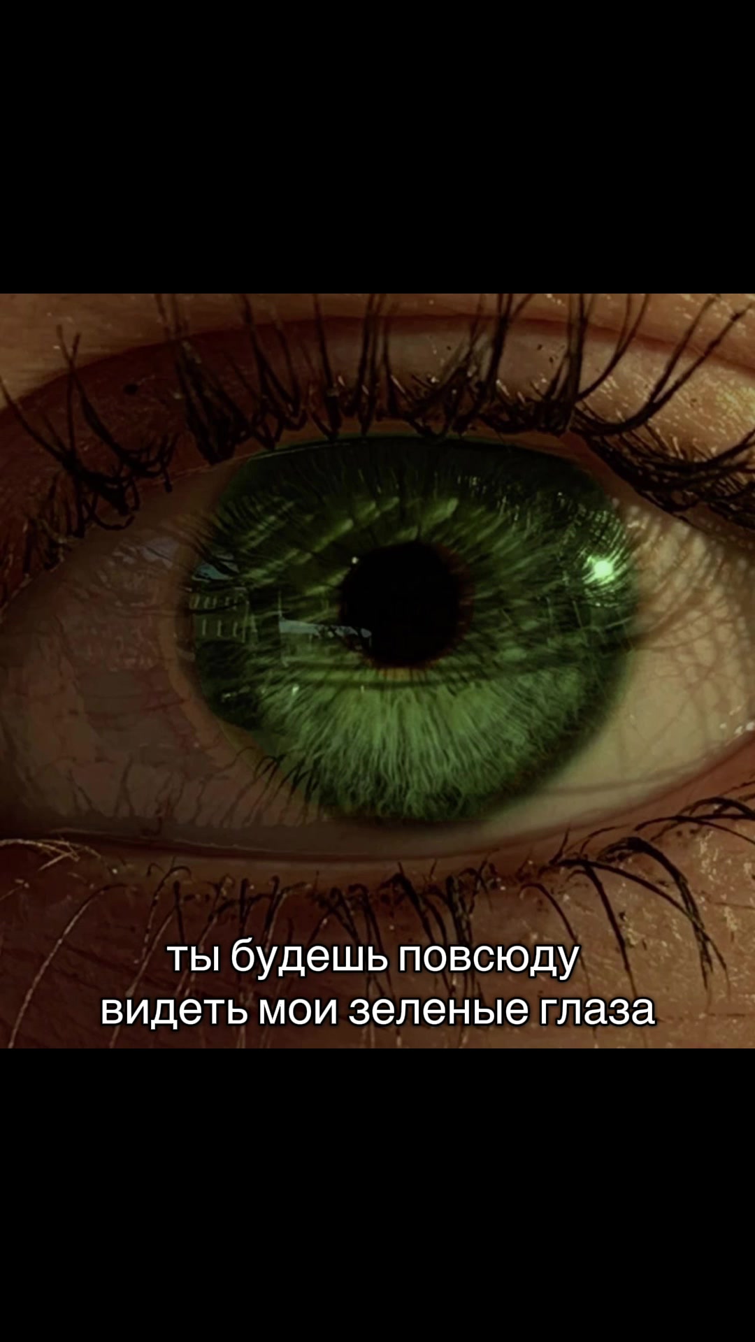 @лисичка