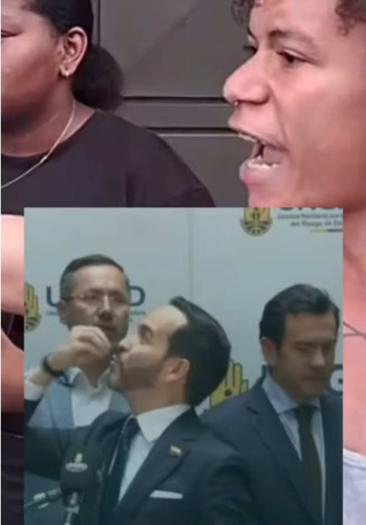 @luisabohorquezr