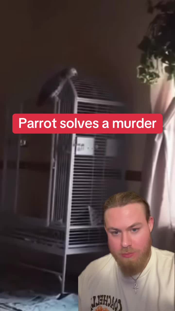 @The Paranormal Files