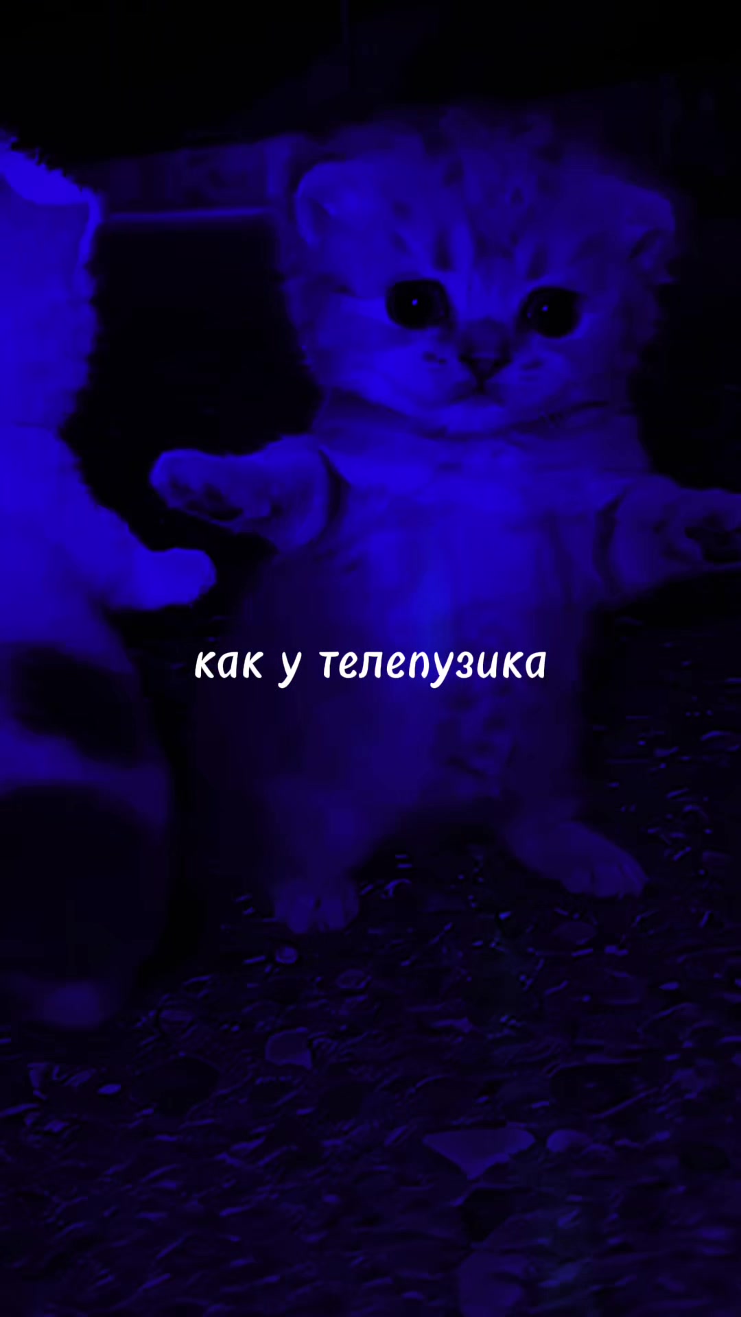 @МУЗ✯ОN