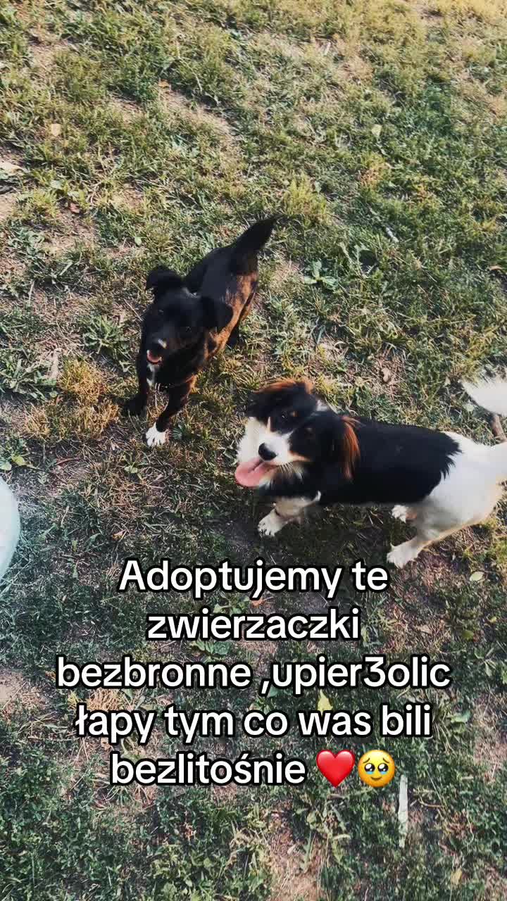 @Emilka_08