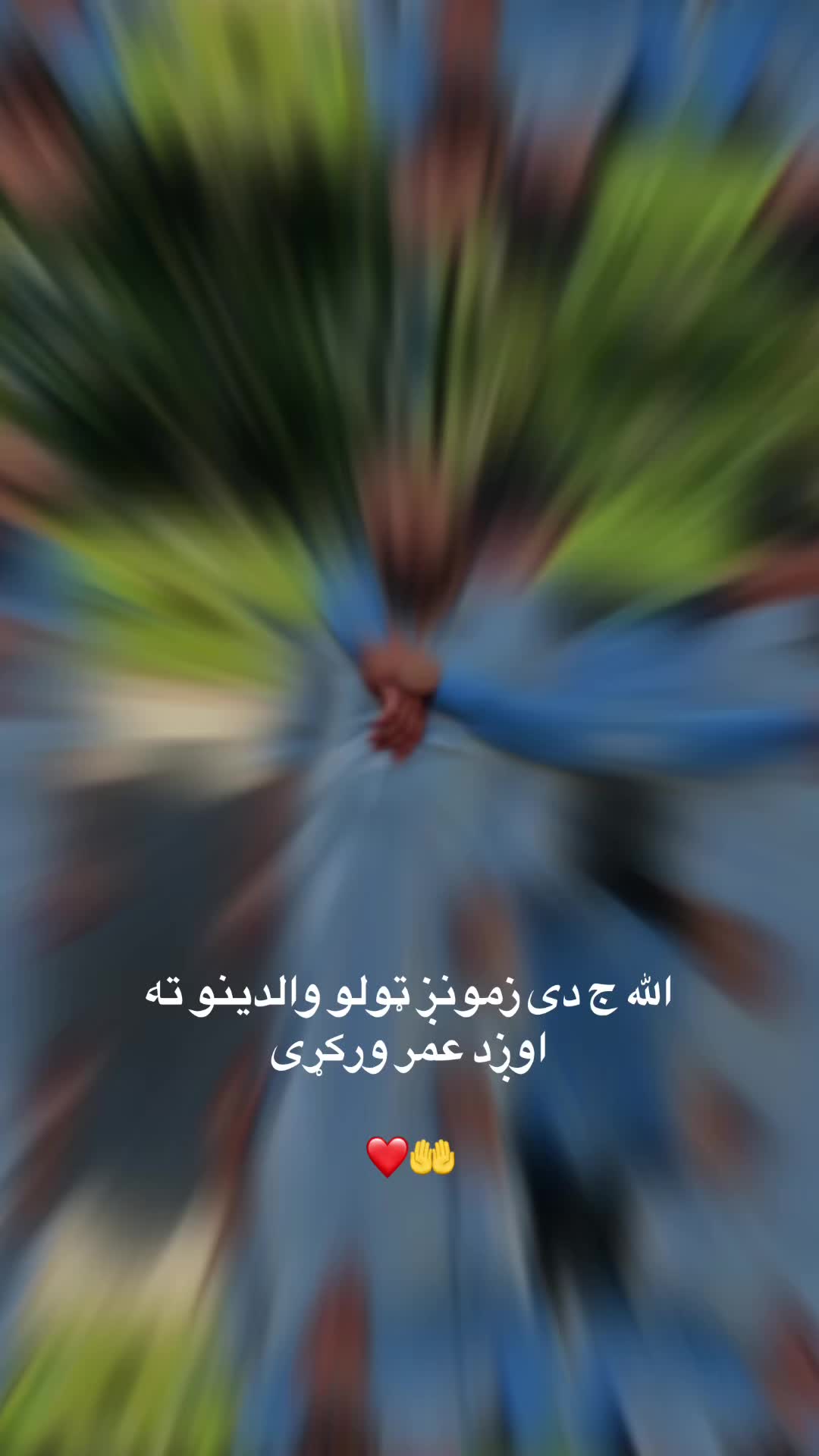 @Ibrar Rahimi 19 💍😍