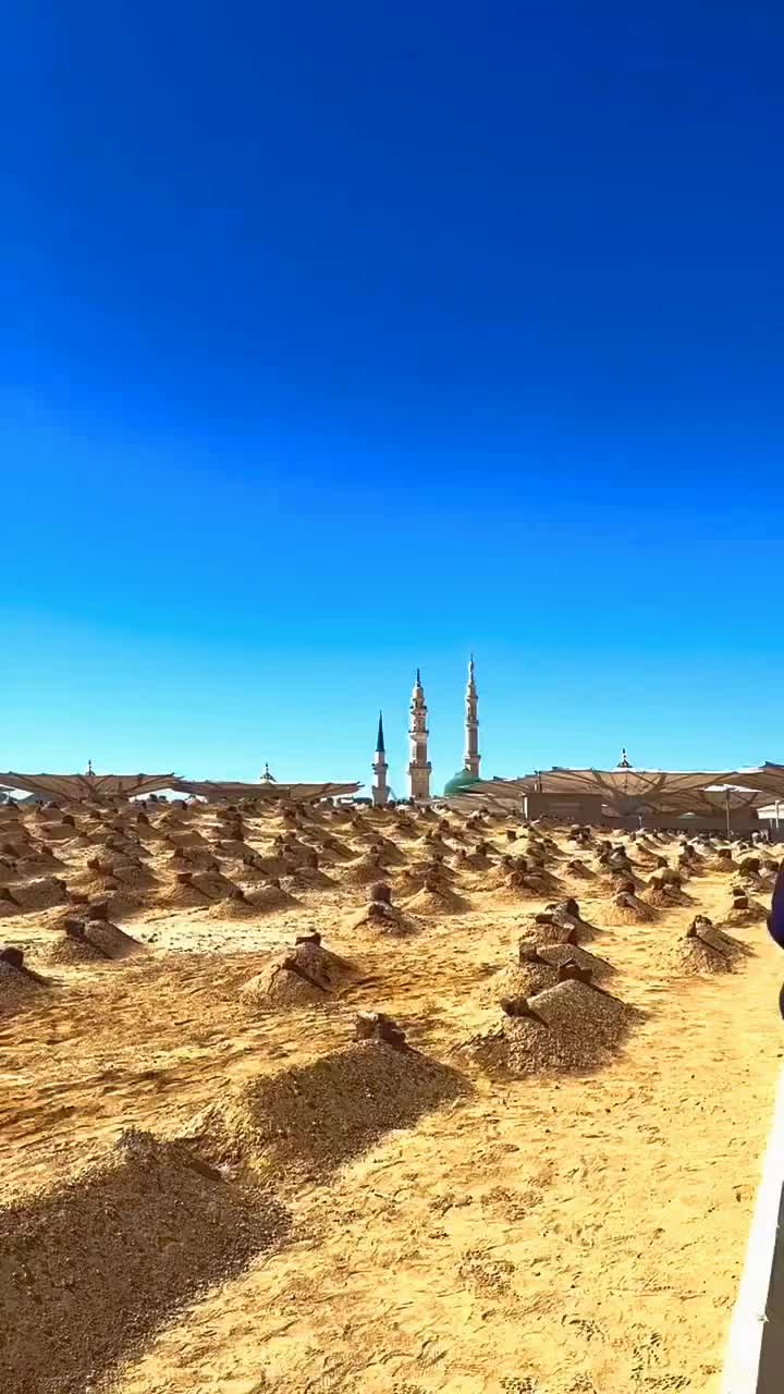 @꧁•⊹٭𝚃𝙸𝙺𝚃𝙾𝙺 𝙵𝙰𝙽٭⊹•꧂🔹