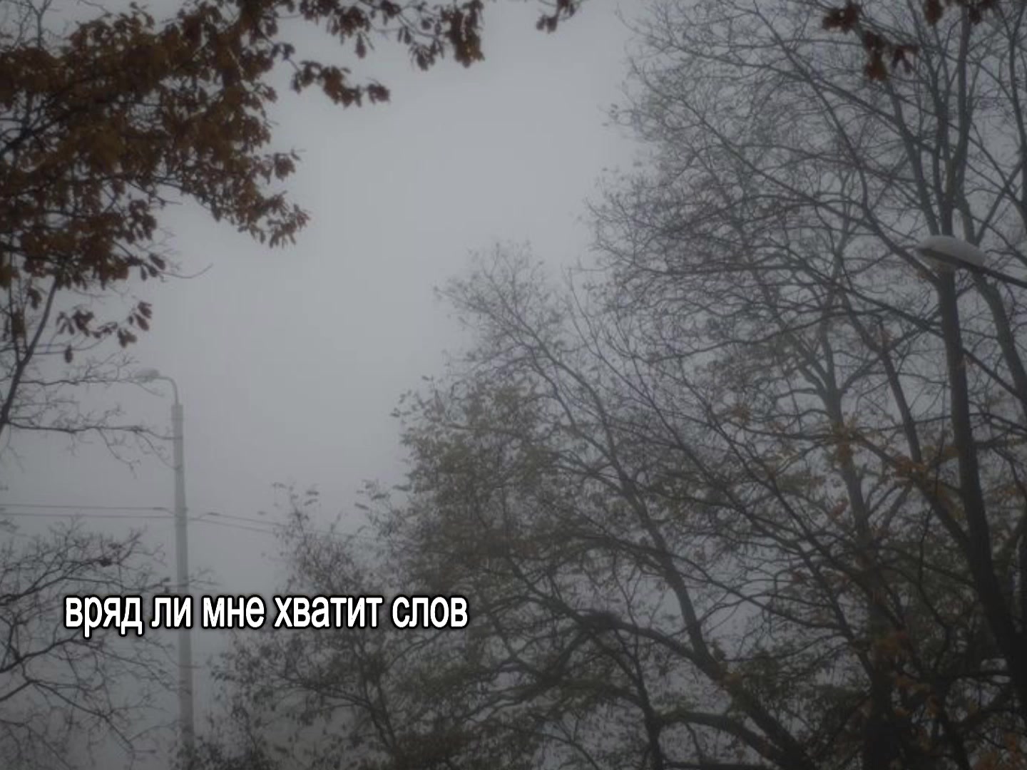 @звуки для липсингов