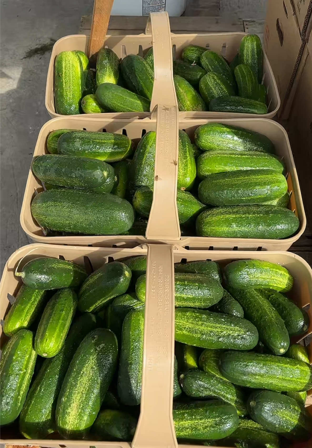 @Anderson Farms