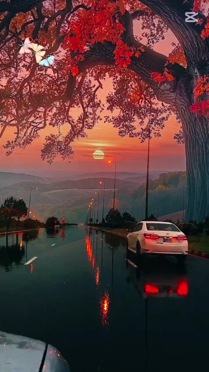 @best nostalgie algérienne