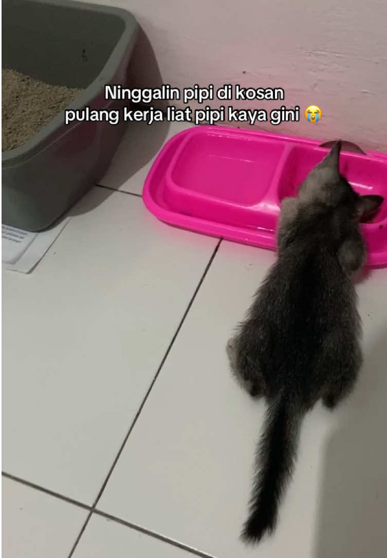 @Cikchubwa