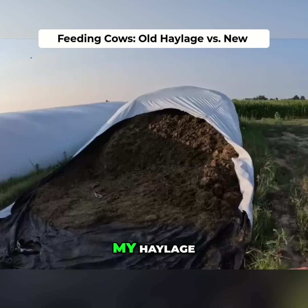 @Kip Siegler Farming
