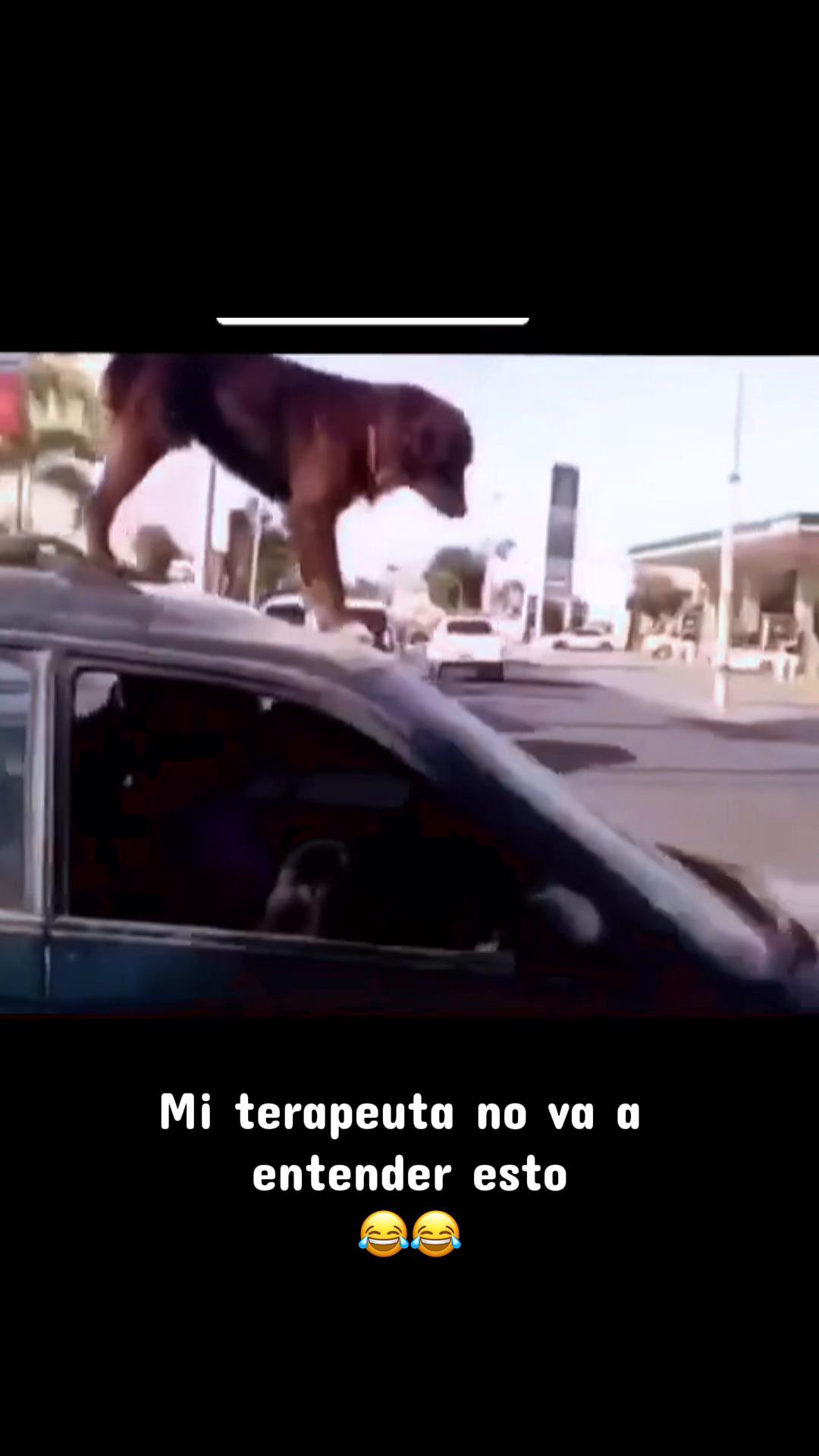 @ANA🌸