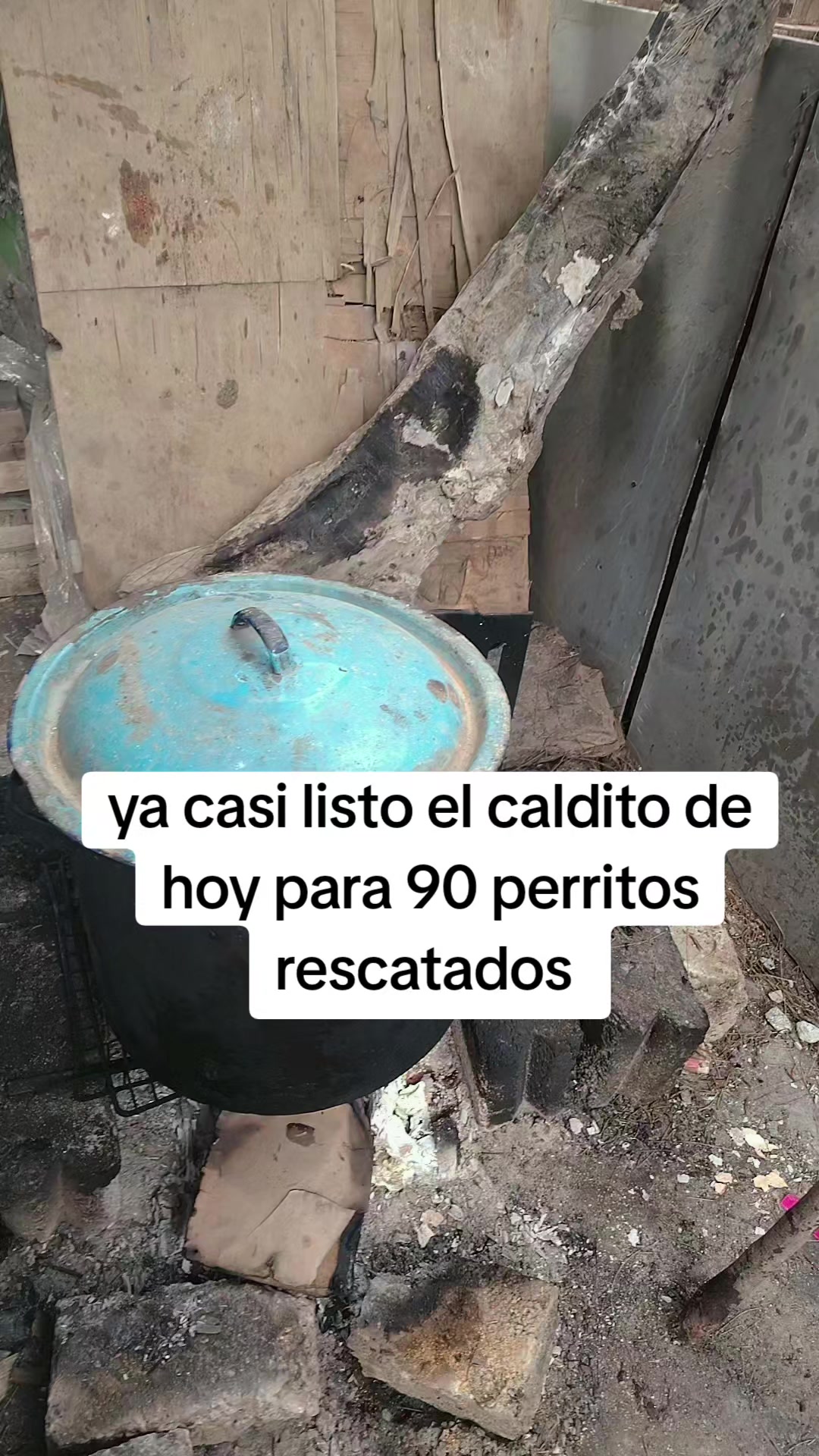 @rescate de perros guapos 😚