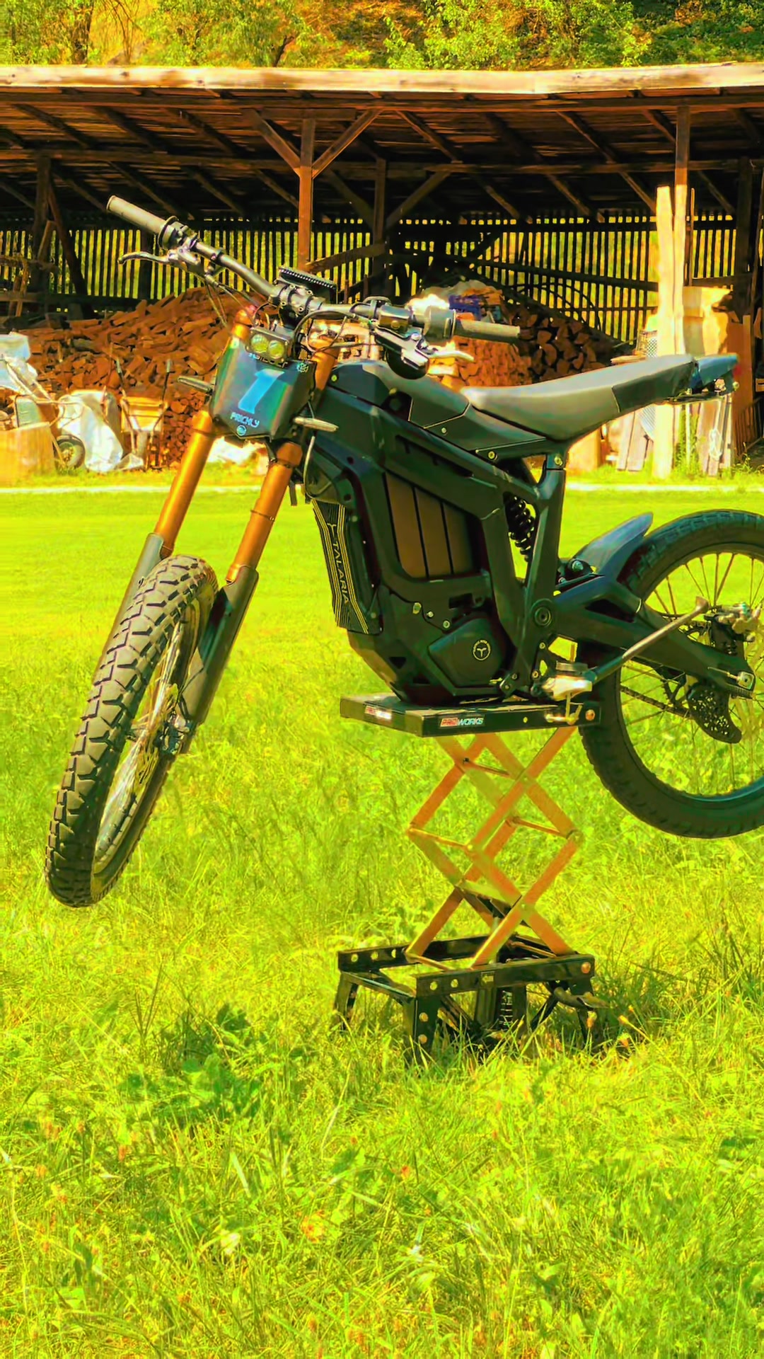 @MX4 Trex