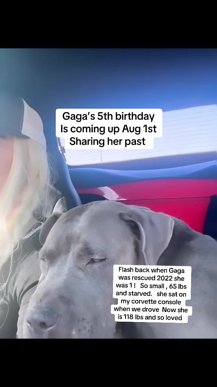 @ganstagirlsoklahoma