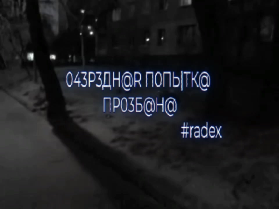 @RADEX | ЛИС #GOST