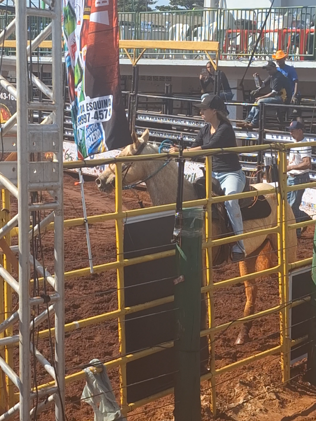 @rodeo