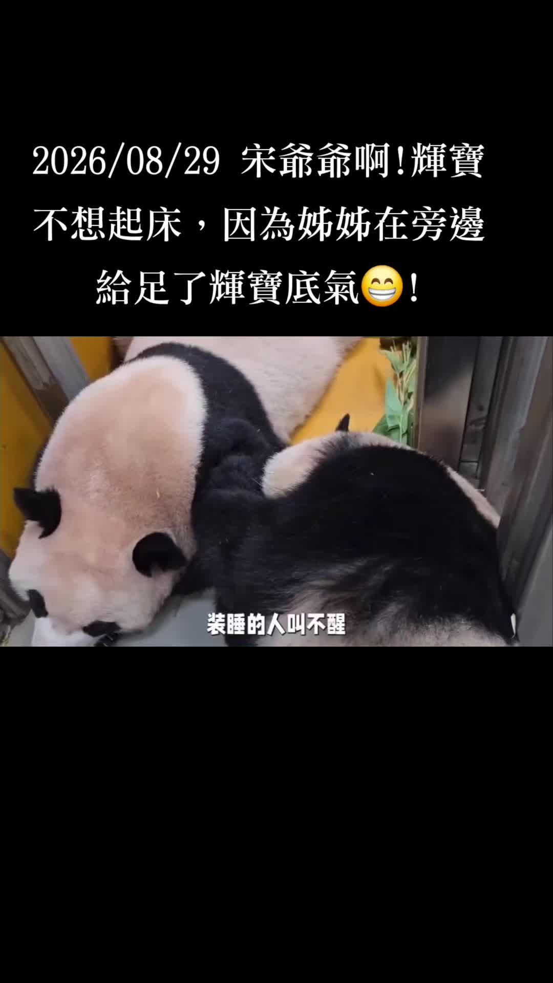 @福寶需要愛的抱抱