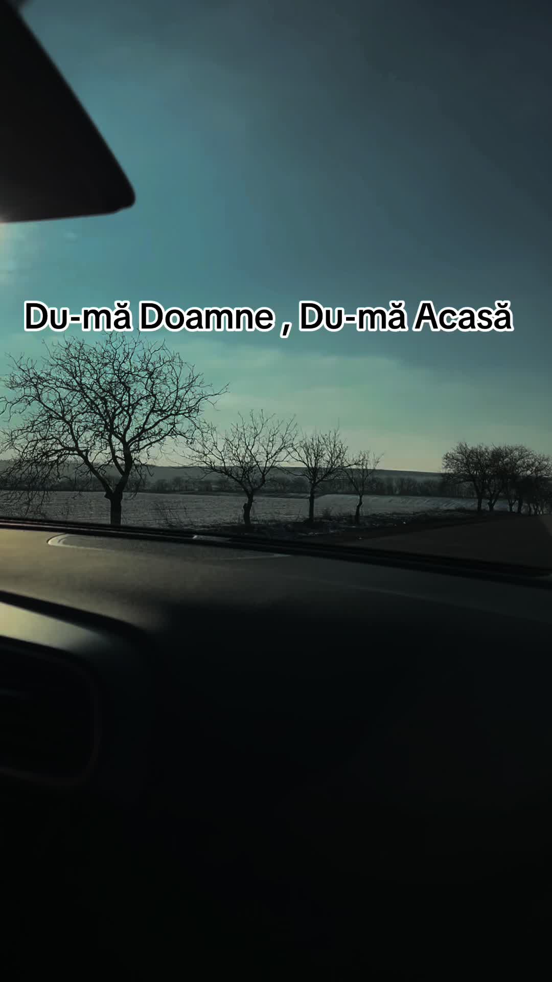 @Mihaela D