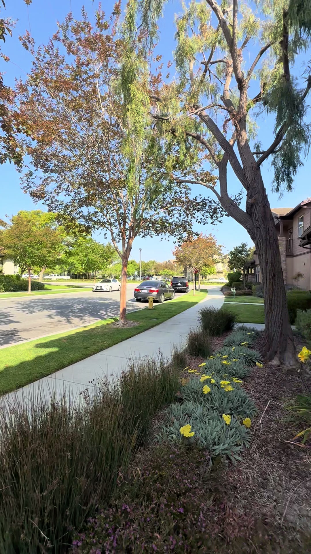 @Jonathan | 805 Real Estate
