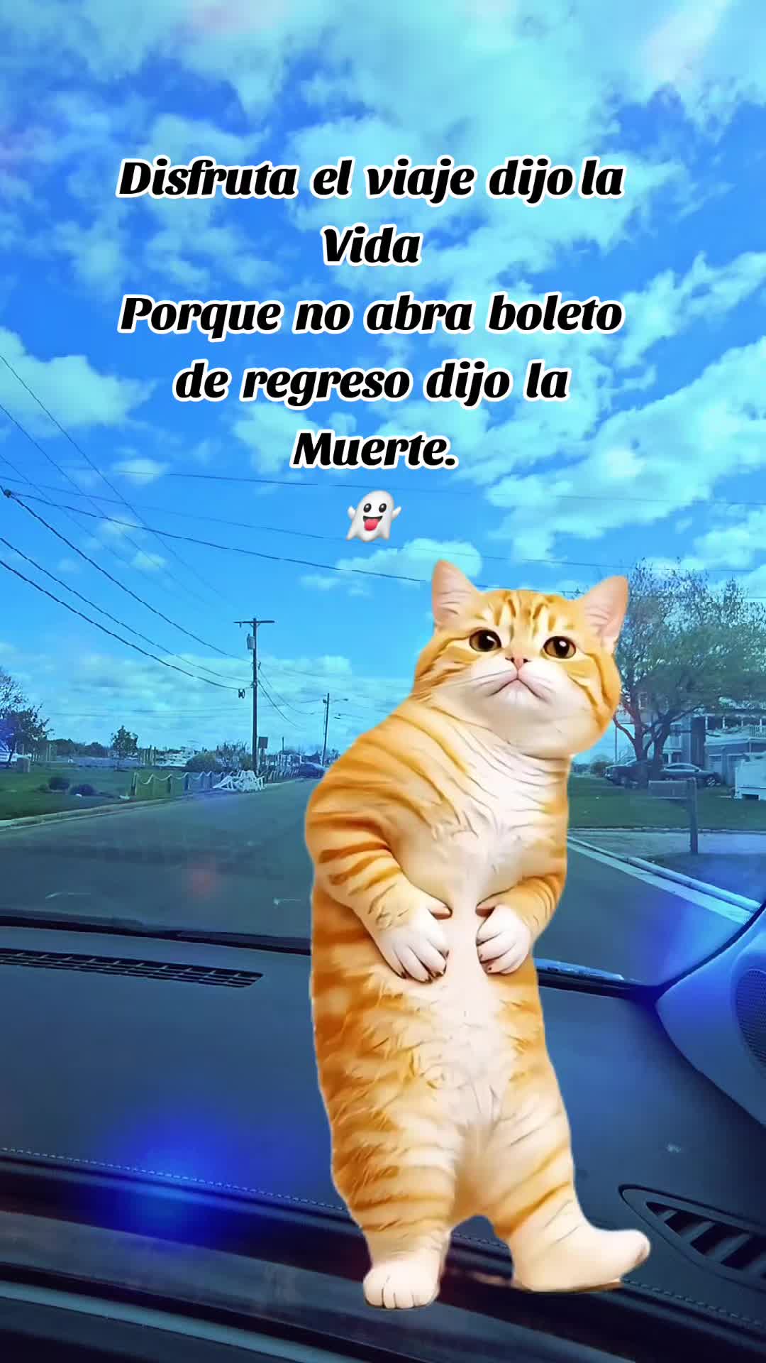 @🇲🇽Guli.Carrada 🐈&zwj;⬛