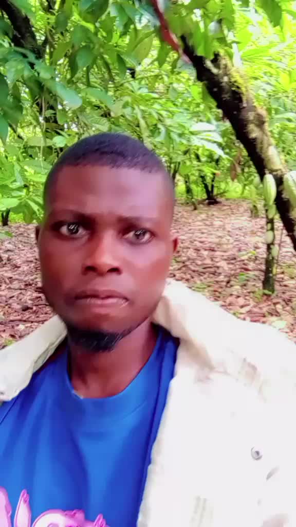 @adewusi