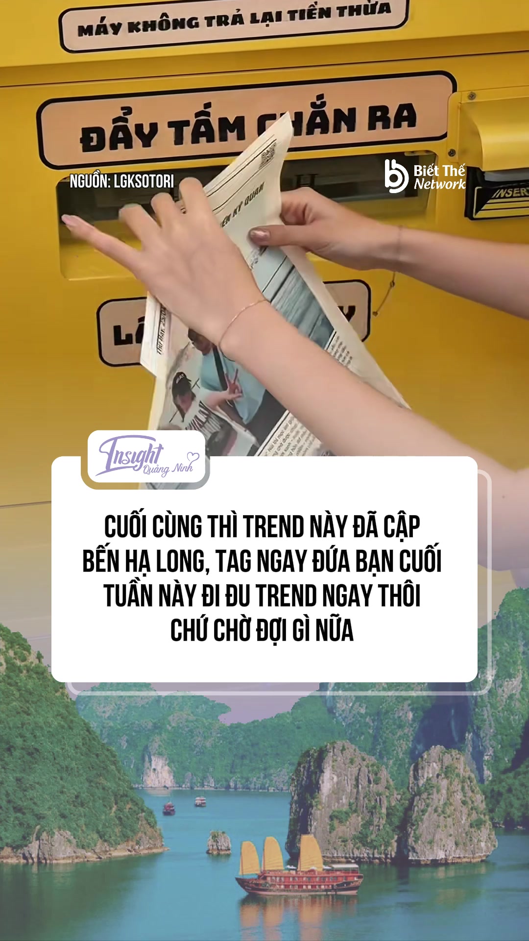 @Insight Quảng Ninh
