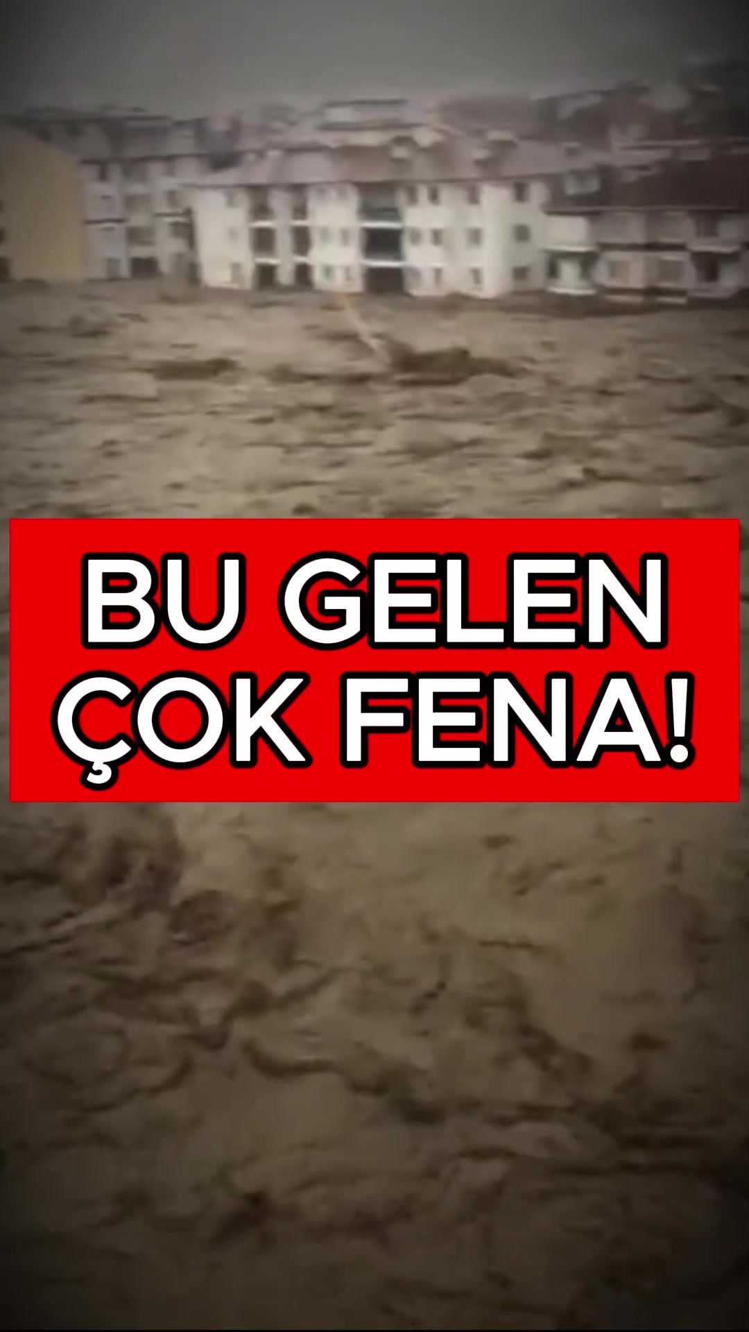 @Havadar