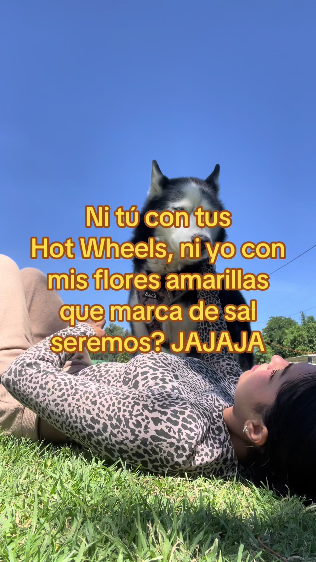 @Amelie_vigar