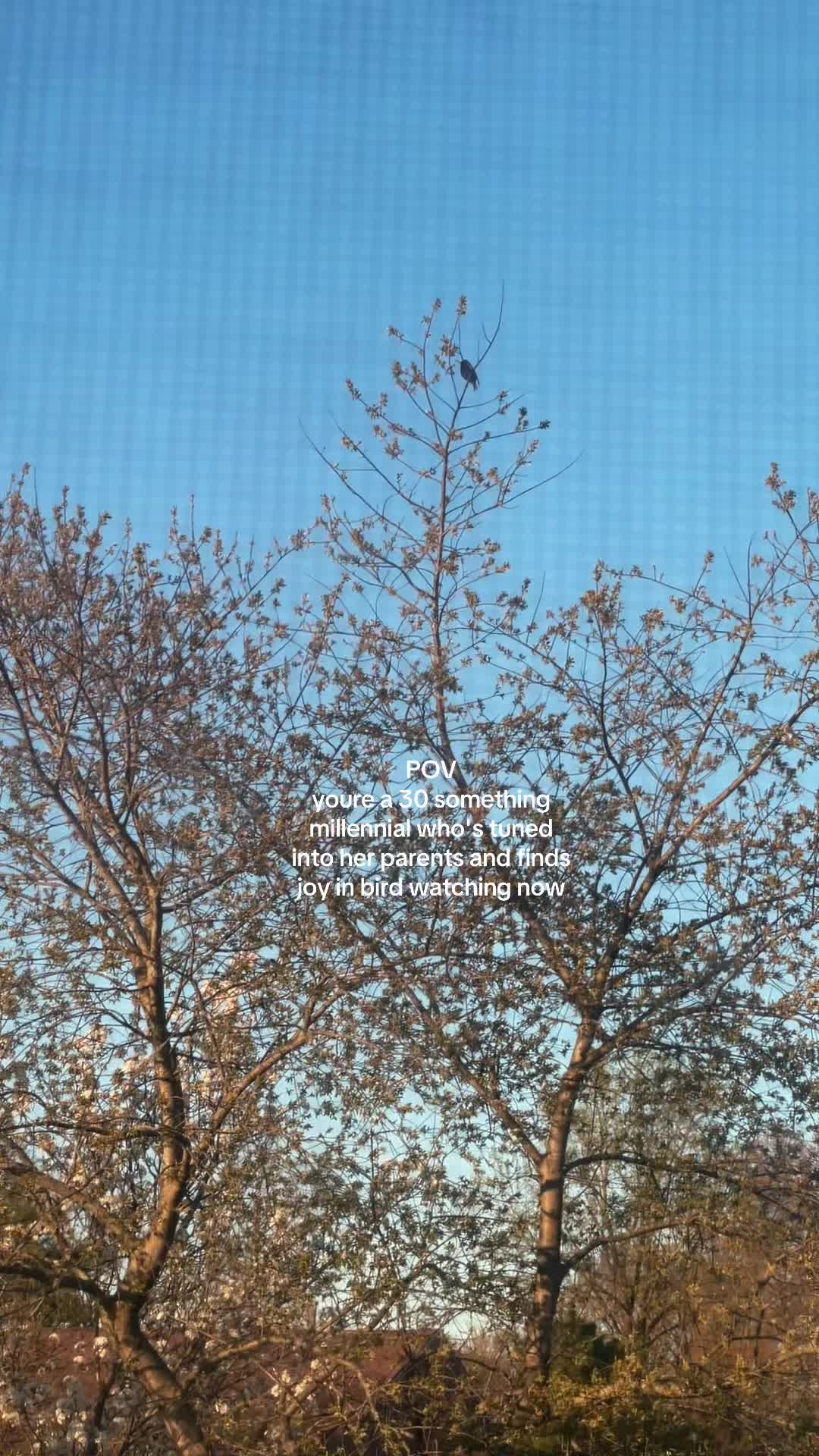 @A