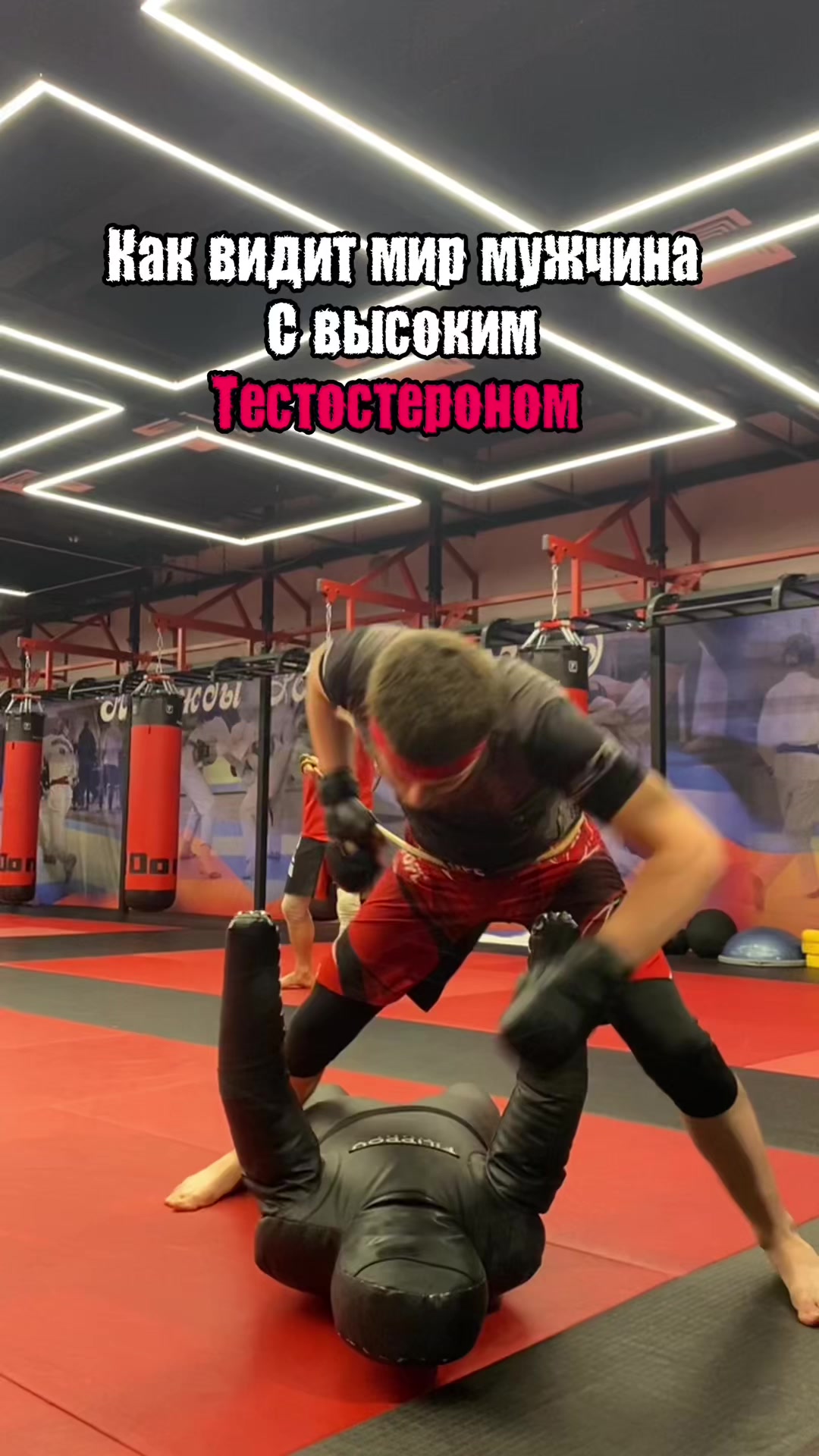 @ABGARYAN_MMA🇦🇲