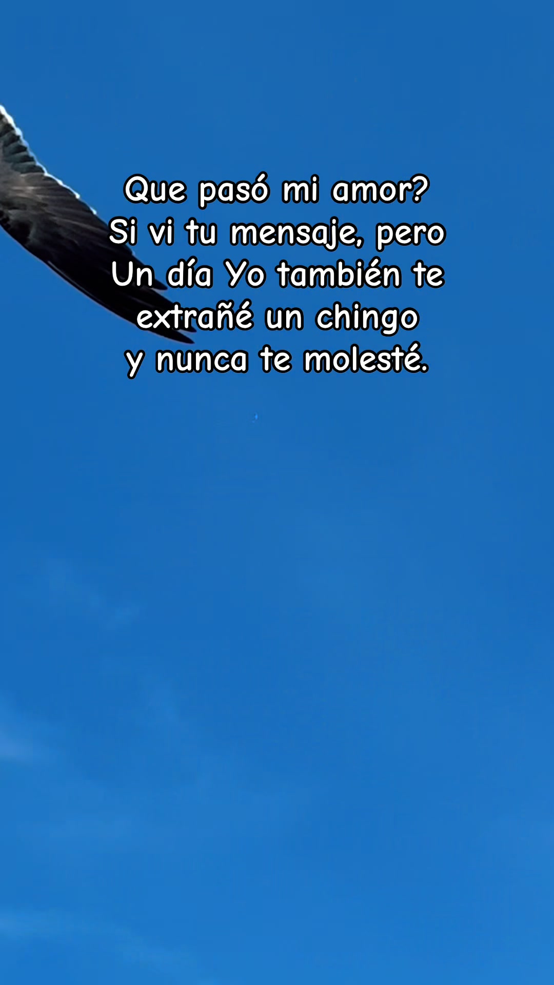 @K I K E C A I C E R O S