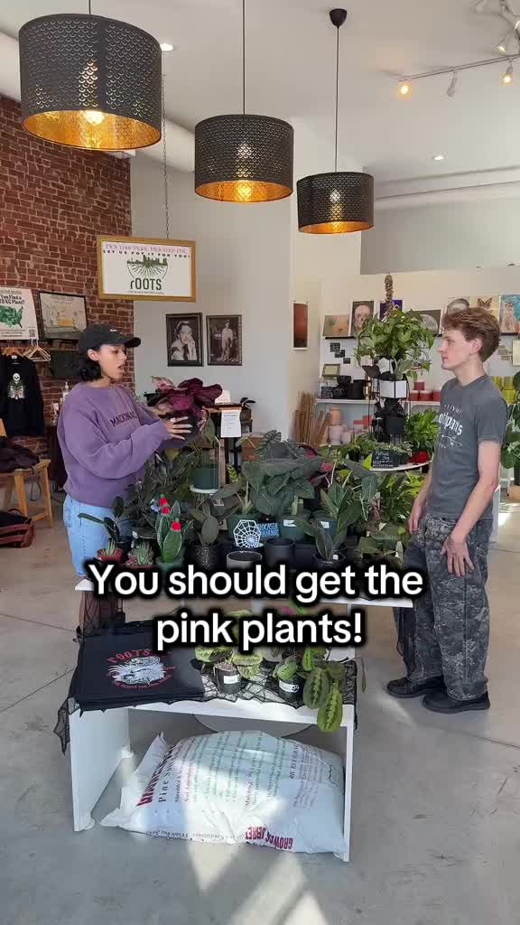 @Rootskc