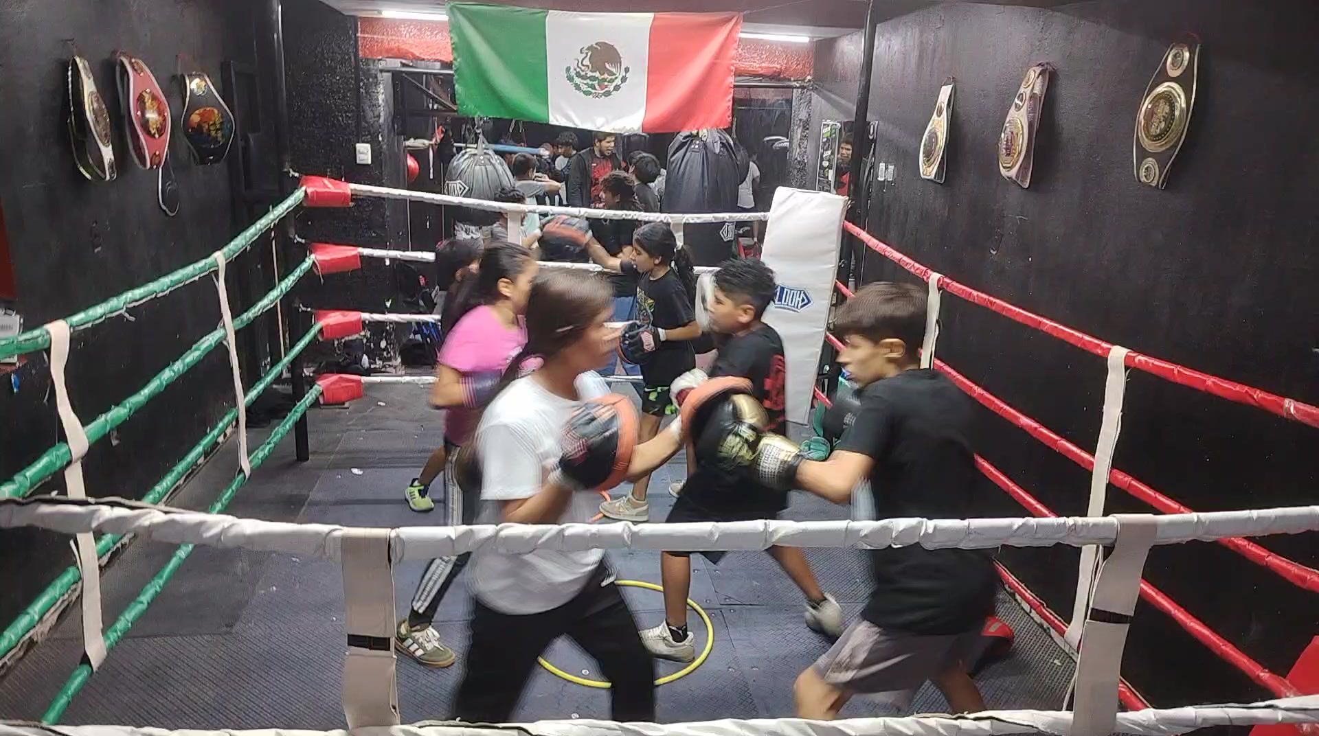 @Carreras Boxing Master