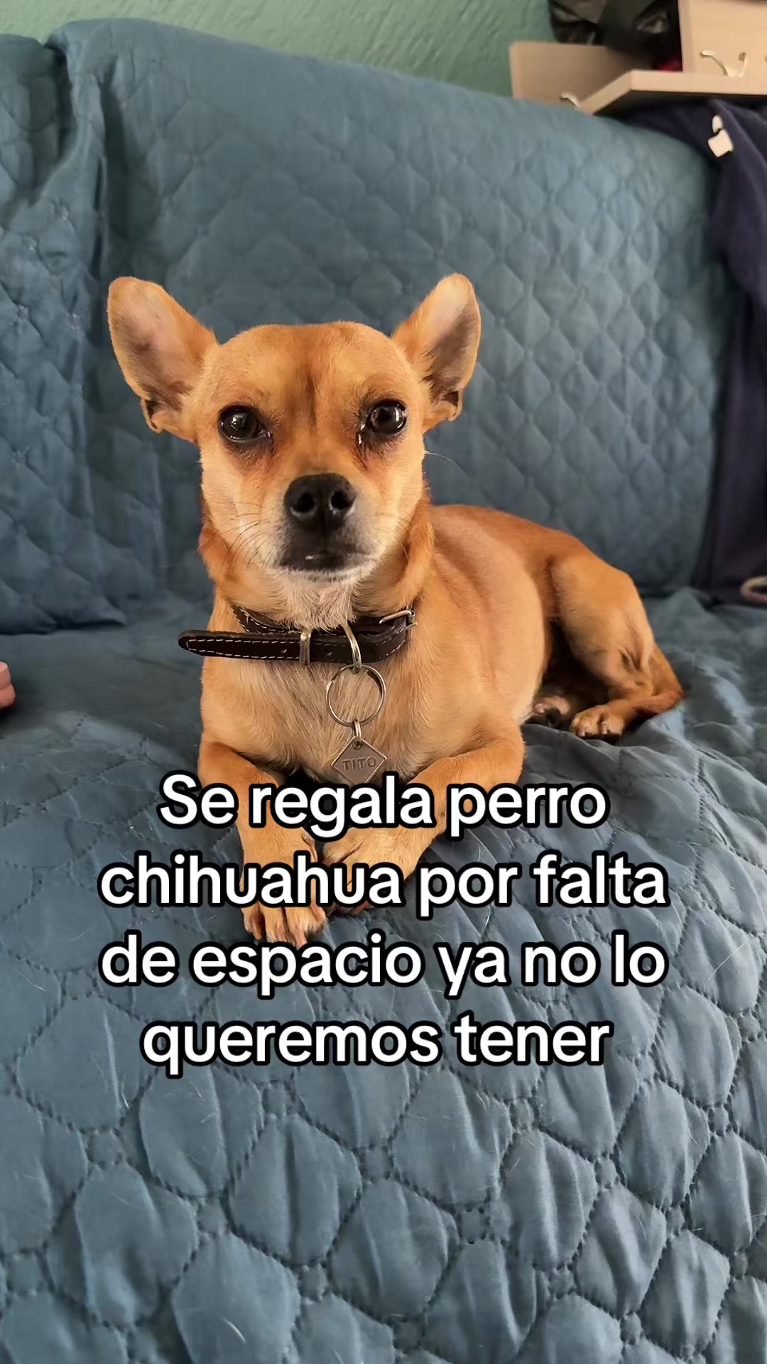 @Emma Saldivar