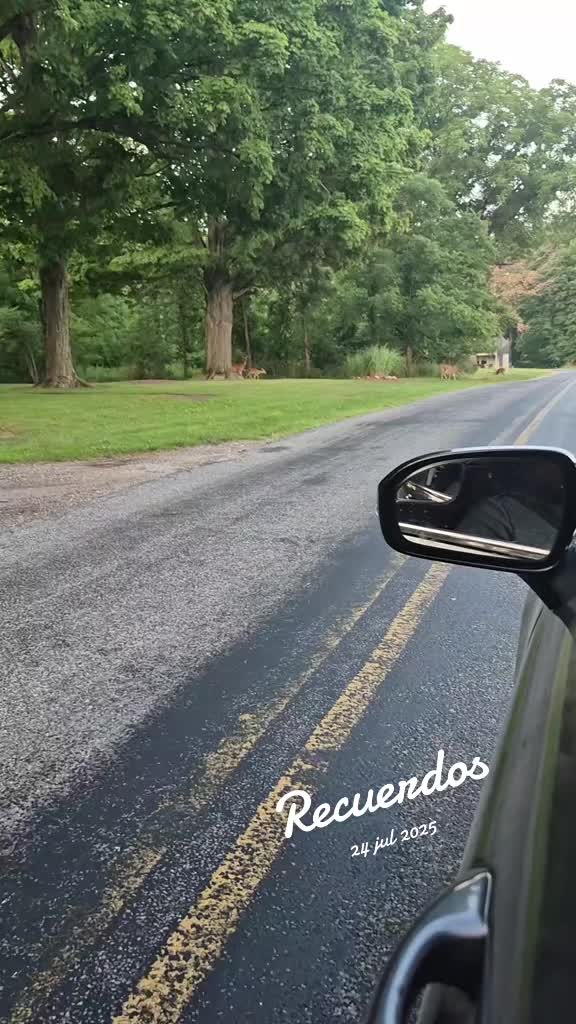 @yfyf