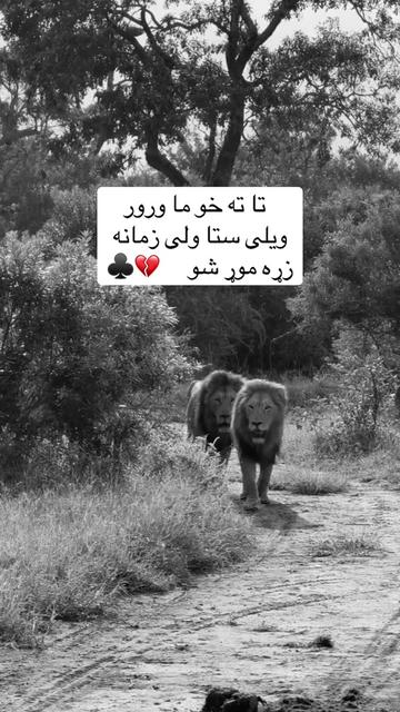 @🥷🏿کــــپــــچــــه🥷🏿