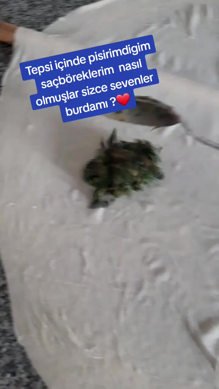 @🌼