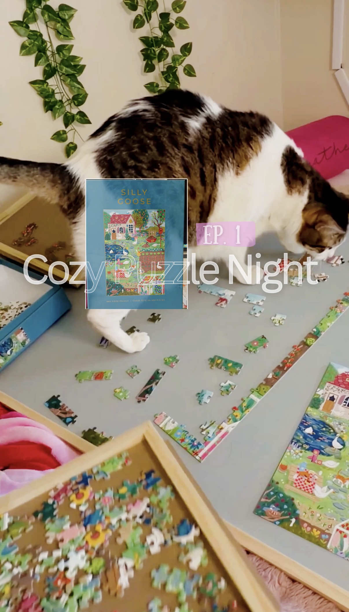@Roxy | Cozy Gaming & Soft Life
