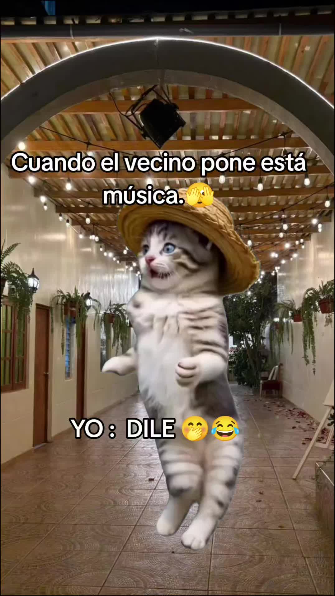 @🦋🍃Katy Sánchez🍃🦋