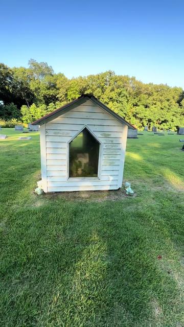 @🕯️✨Porchlight Paranormal✨🕯️