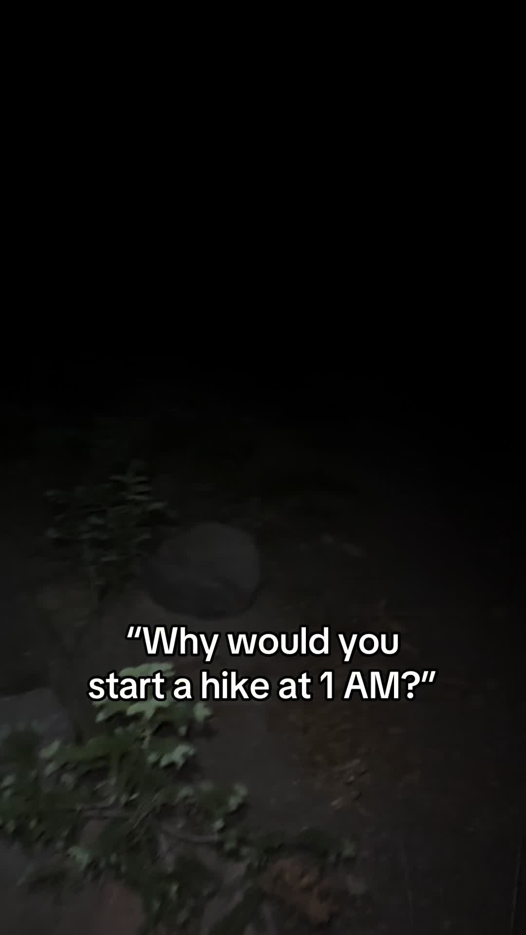 @Moose