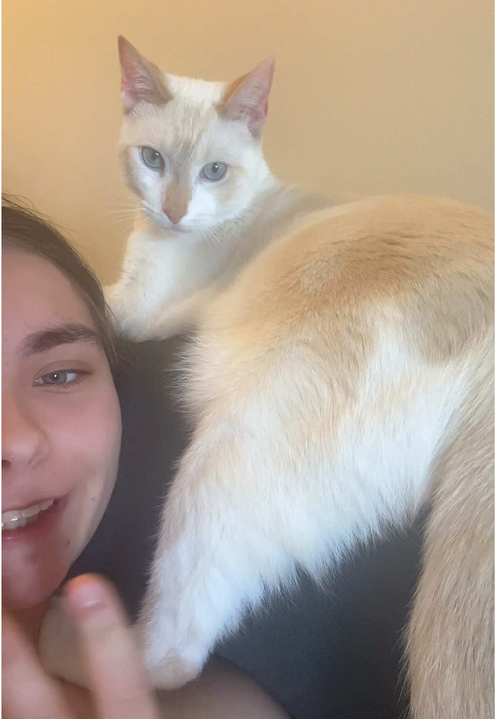 @FamiliarFEYpets