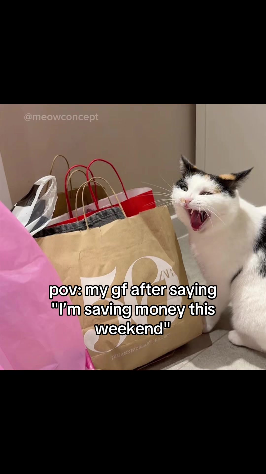 @meowconcept