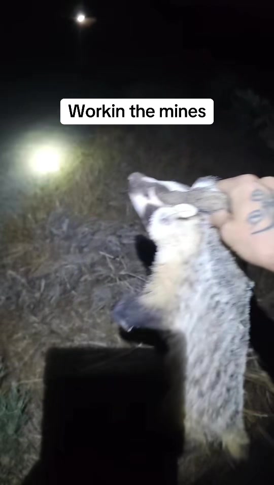 @Mark