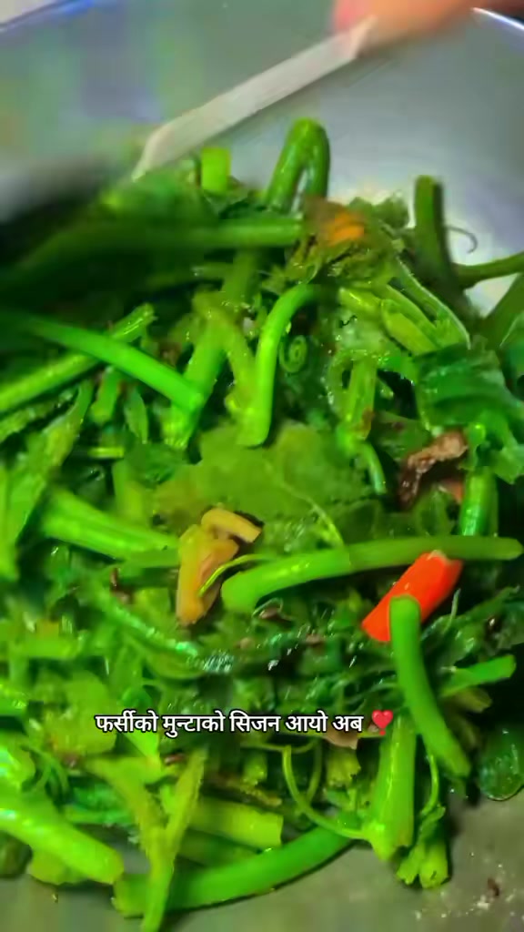 @अर्जुन सेन्चुरी &szlig;&kappa;.(गाउँले)